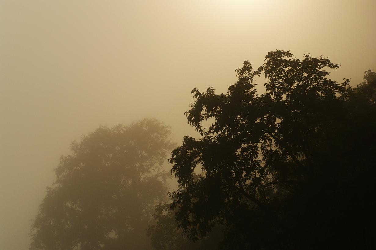 Optio culpa occaecati