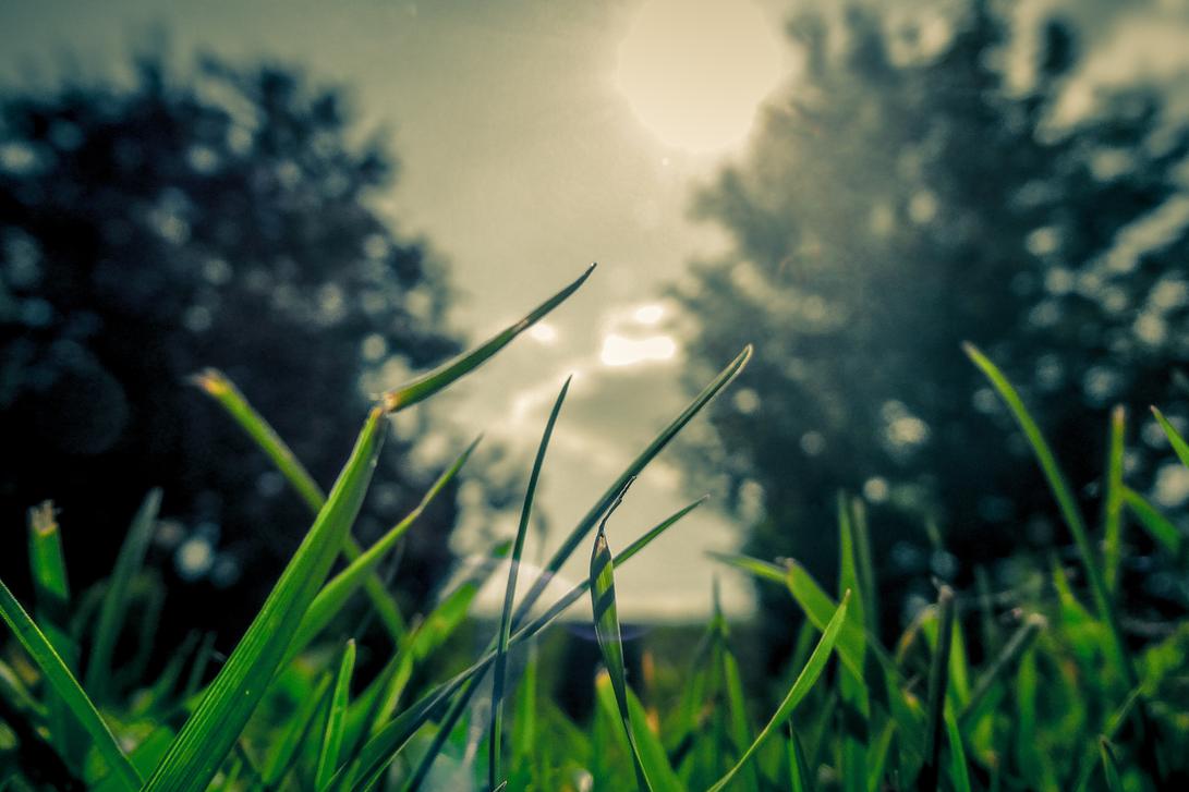 Harum ut quis voluptas omnis consequatur distinctio quisquam